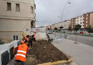 Aziziye de çevre yoğunlaşması