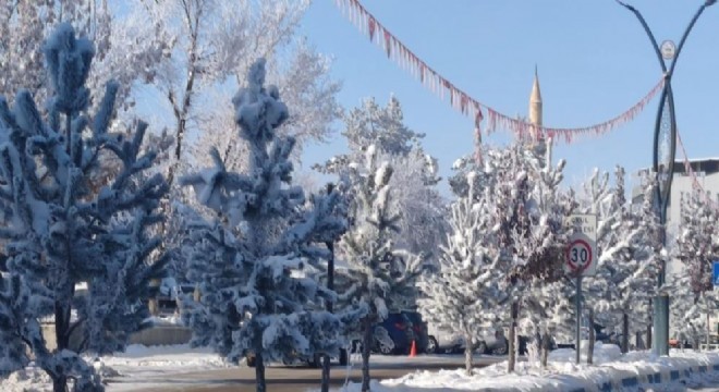 Aşkale'de termometre eksi 33'ü gösterdi