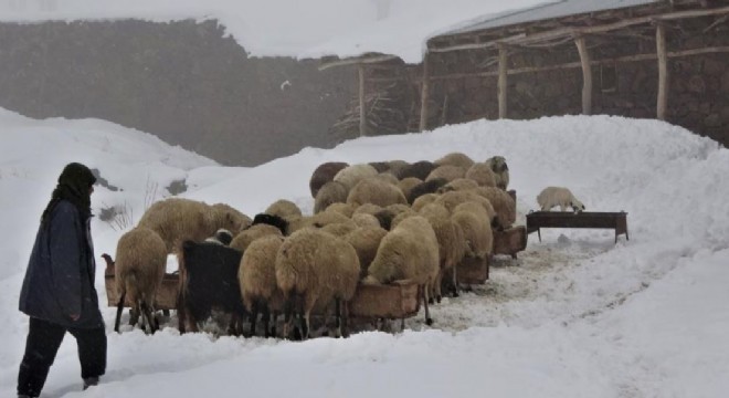 Doğu’da Besicilerin zorlu kış mesaisi