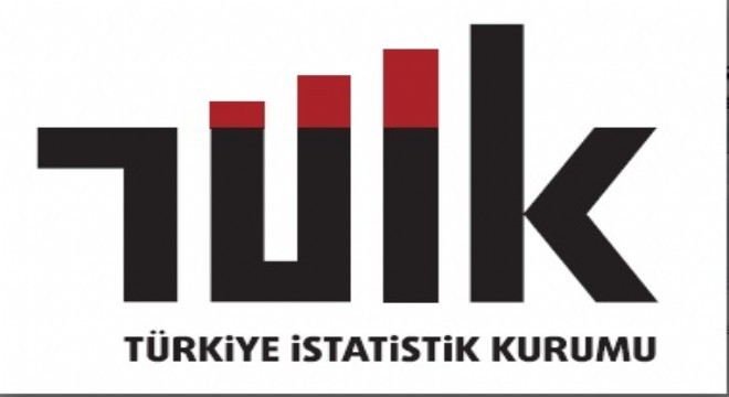 TÜİK ARGE verilerini paylaştı