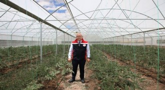 DAP BKİ'den seracılık desteği